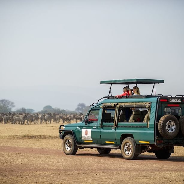 A Safari jeep on a cruise near Kirawira Serena Camp