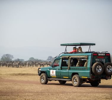A Safari jeep on a cruise near Kirawira Serena Camp
