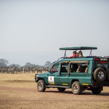 A Safari jeep on a cruise near Kirawira Serena Camp