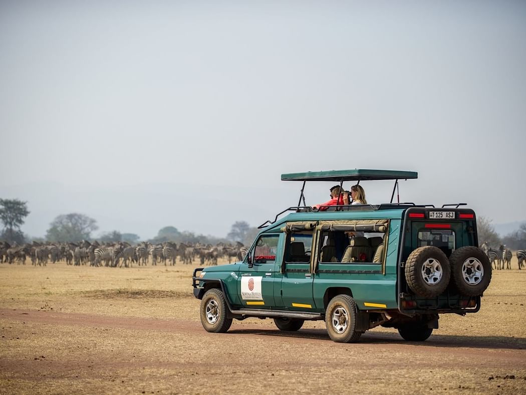 A Safari jeep on a cruise near Kirawira Serena Camp