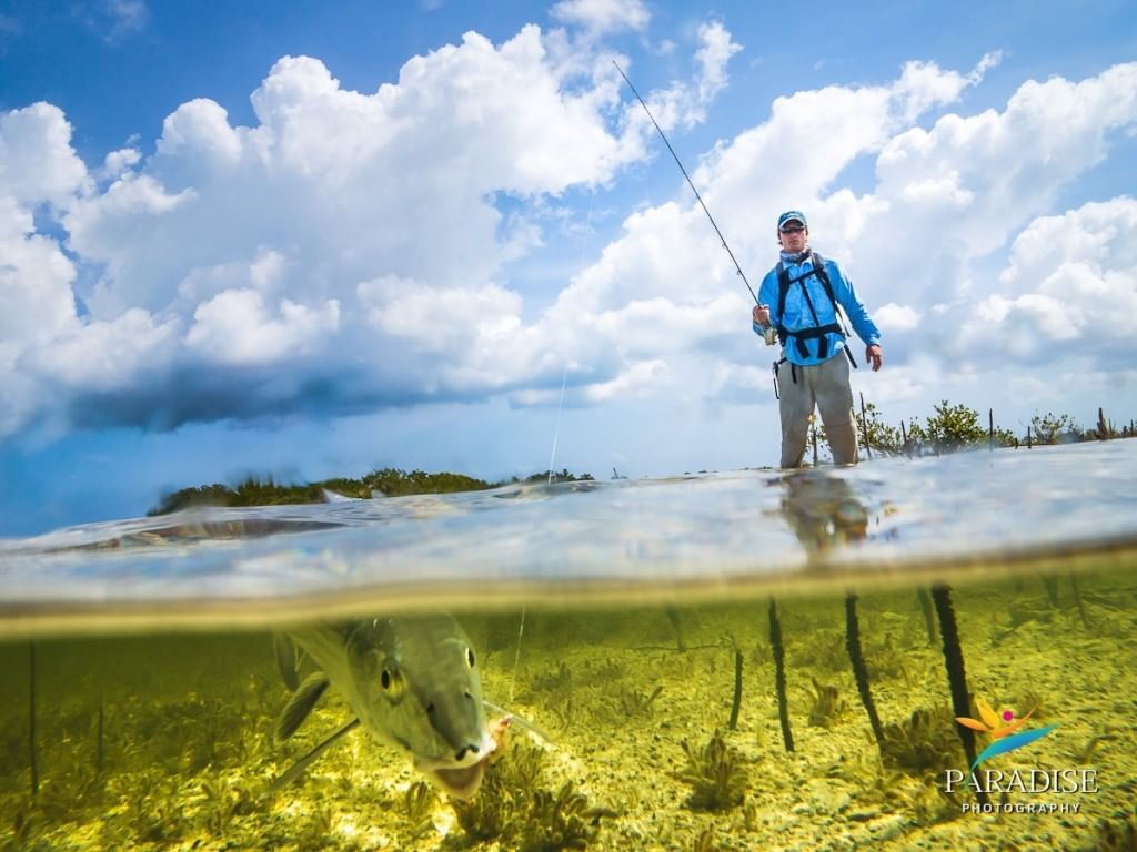 Bonefishing in Turks & Caicos The Somerset on Grace Bay