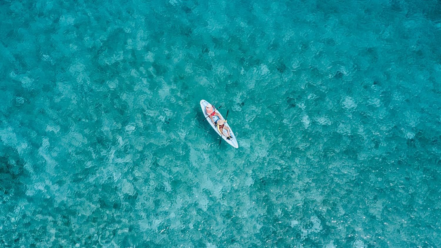 Aerial view of boating in river near The Explorean Cozumel