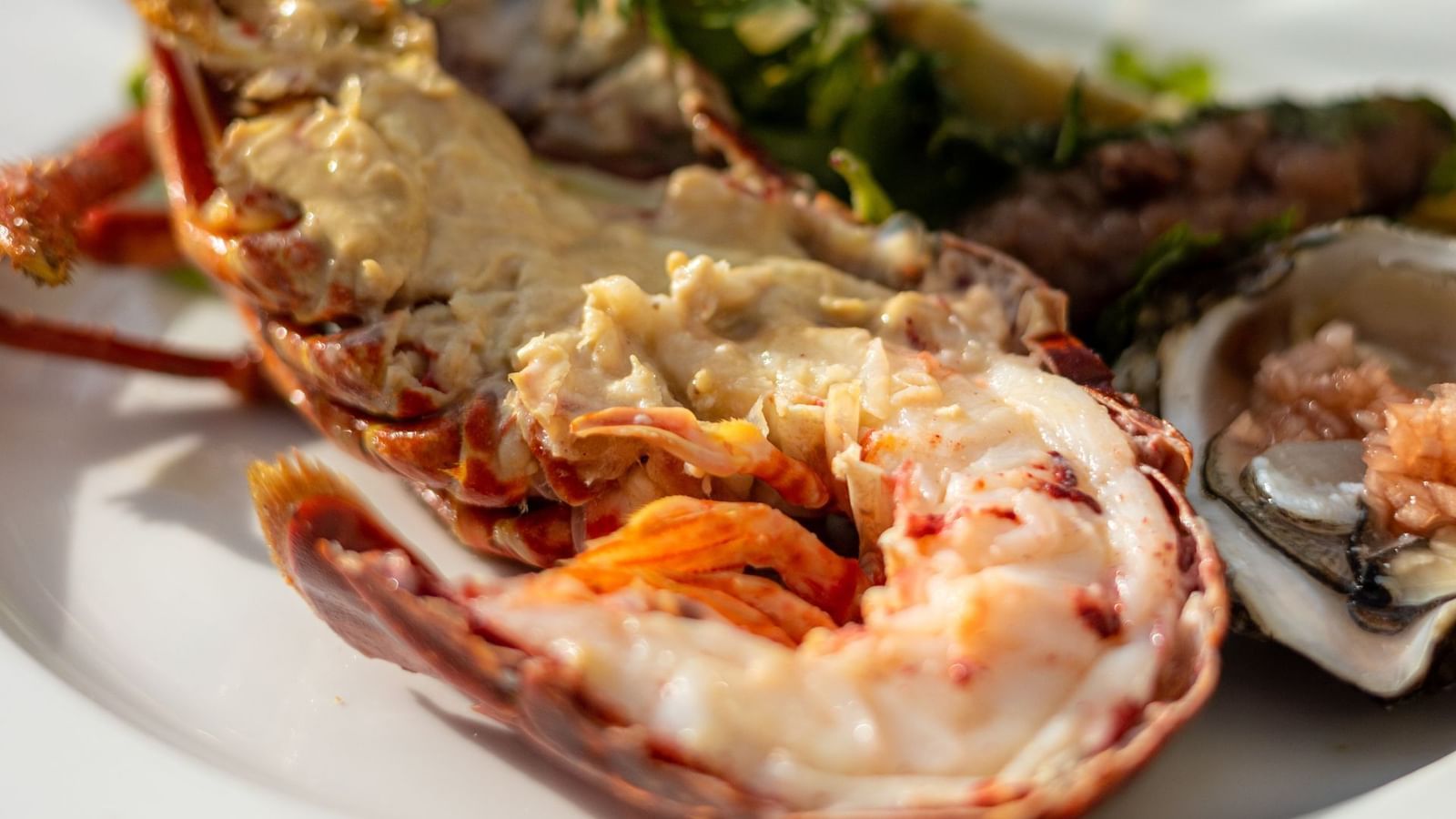Lobster dish served in The Brunch at Domaine De Manville