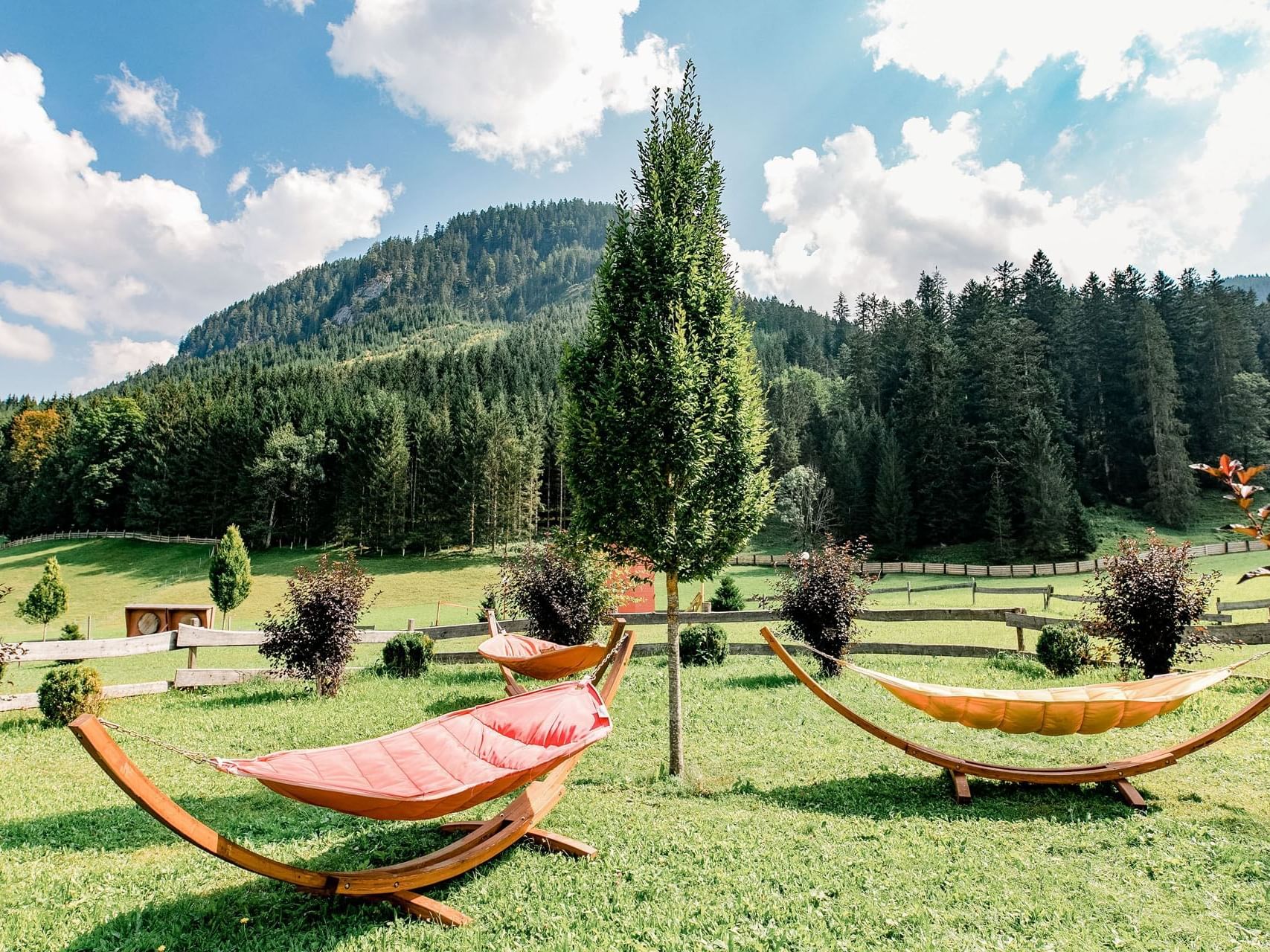 Hängematten im grünen Garten, umgeben von einem Zaun, Bäumen und einem Berg im Hintergrund.