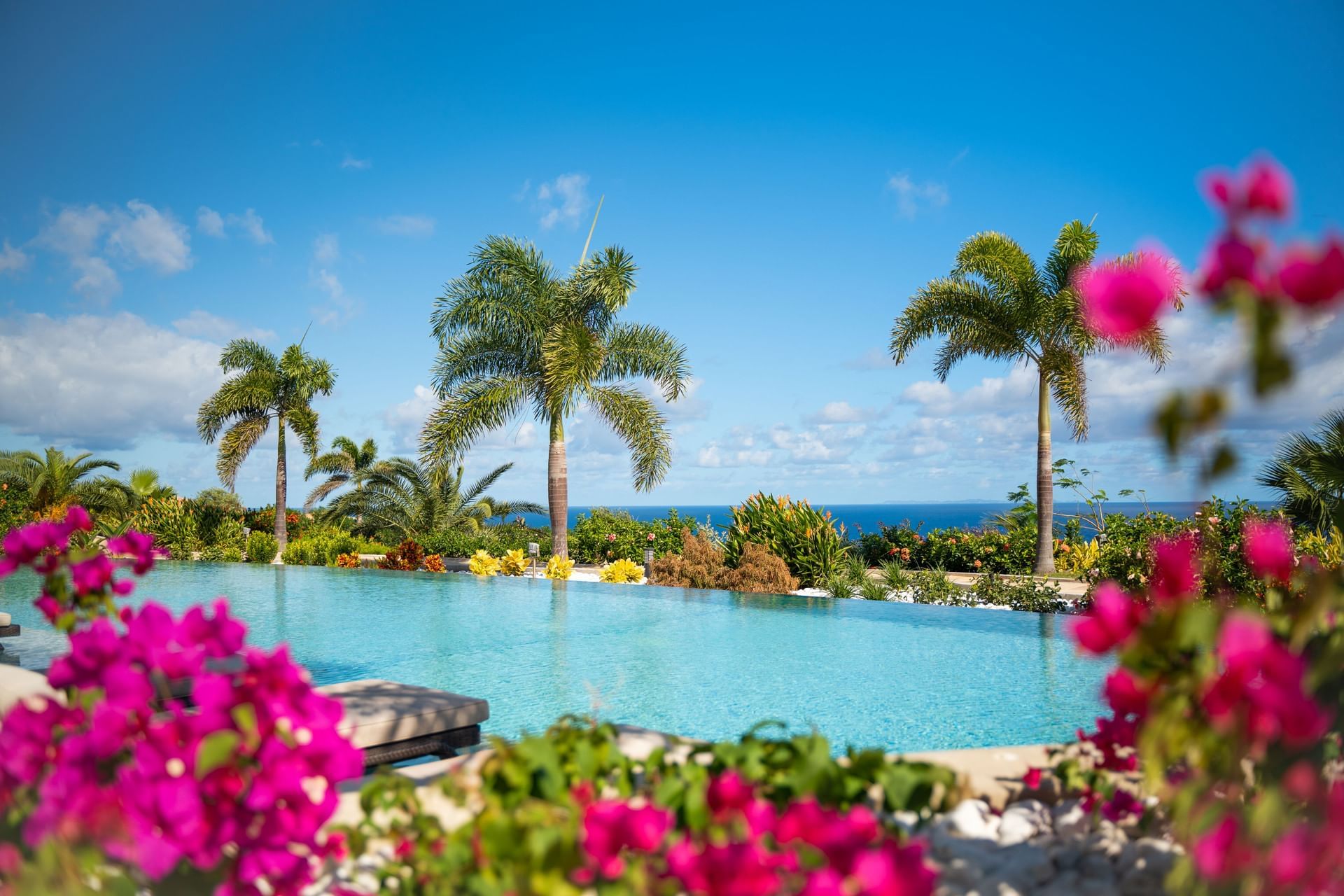 Infinity pool surrounded by lush greenery and flowers, with palm trees at Golden Rock Resort