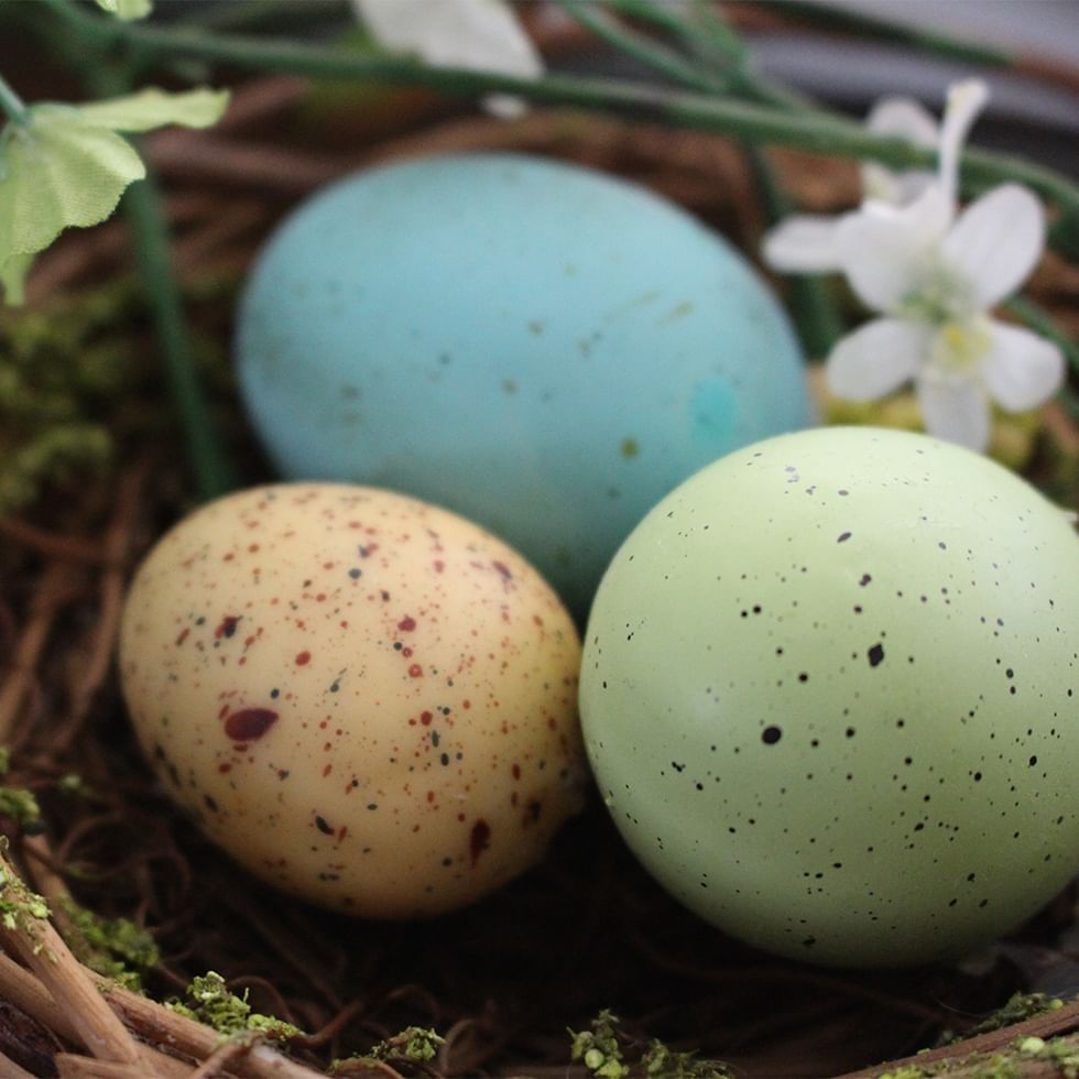 Drei bunte Eier in einem Nest symbolisieren das Angebot Steirische Ostern.