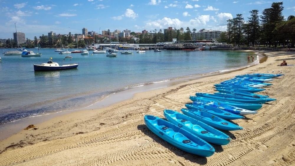 Blue kayaks lined up on the sandy beach by a calm ocean bay under a cloudy sky, surrounding the coast near Elysium Manly