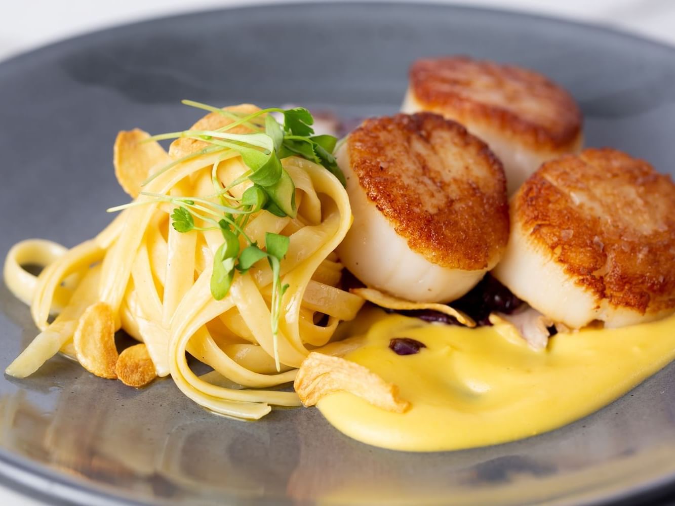 SER The 7880 Club Restaurant Maine Sea Scallops