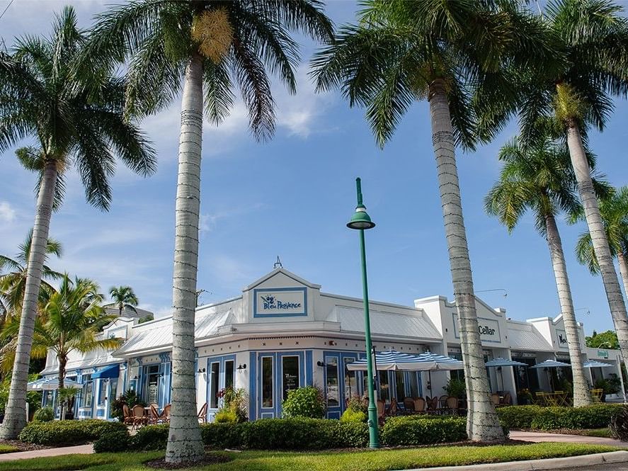 Bleu Provence restaurant exterior with palm trees at Cove Inn at Naples Bay in Naples.