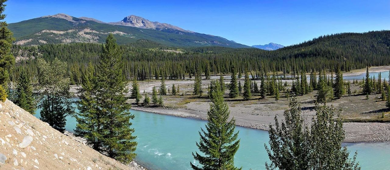 View of vast land with turquoise lake, pine trees and mountains