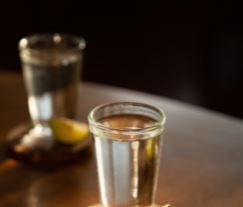 Pensativo house hotel offers a variety of Mezcal at it's bar