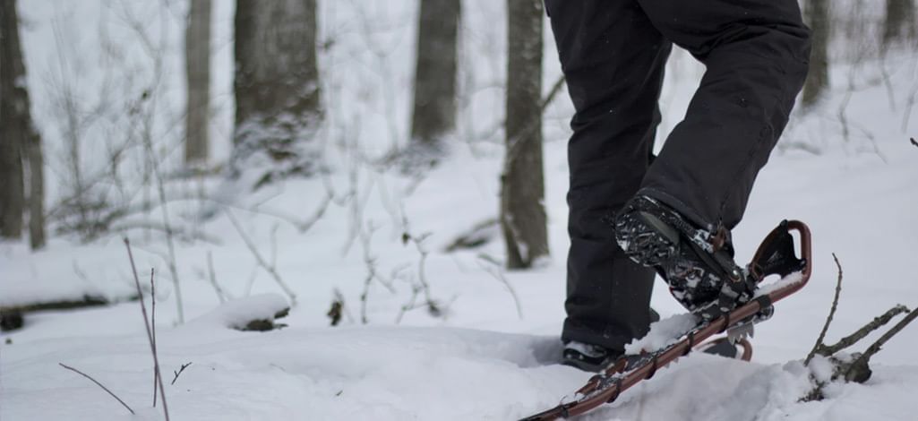 Snowshoer walking through a winter forest, leaving fresh tracks in the snow.