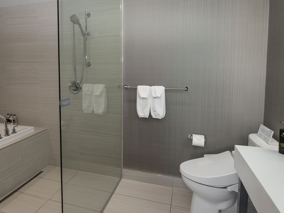 Modern bathroom with shower, toilet, towels and toiletries.
