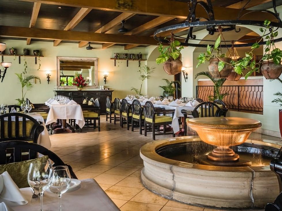 Pappagallo Fountain at Warwick Fiji