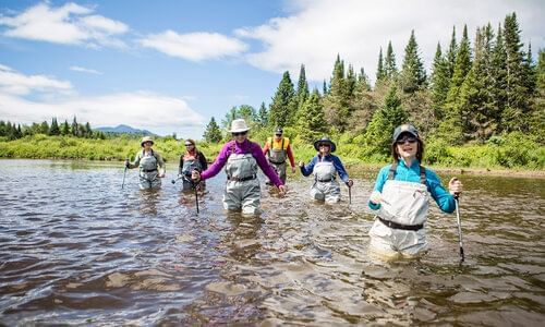 Hikers in waders walking through a shallow river surrounded by lush green pine trees near the High Peaks Resort