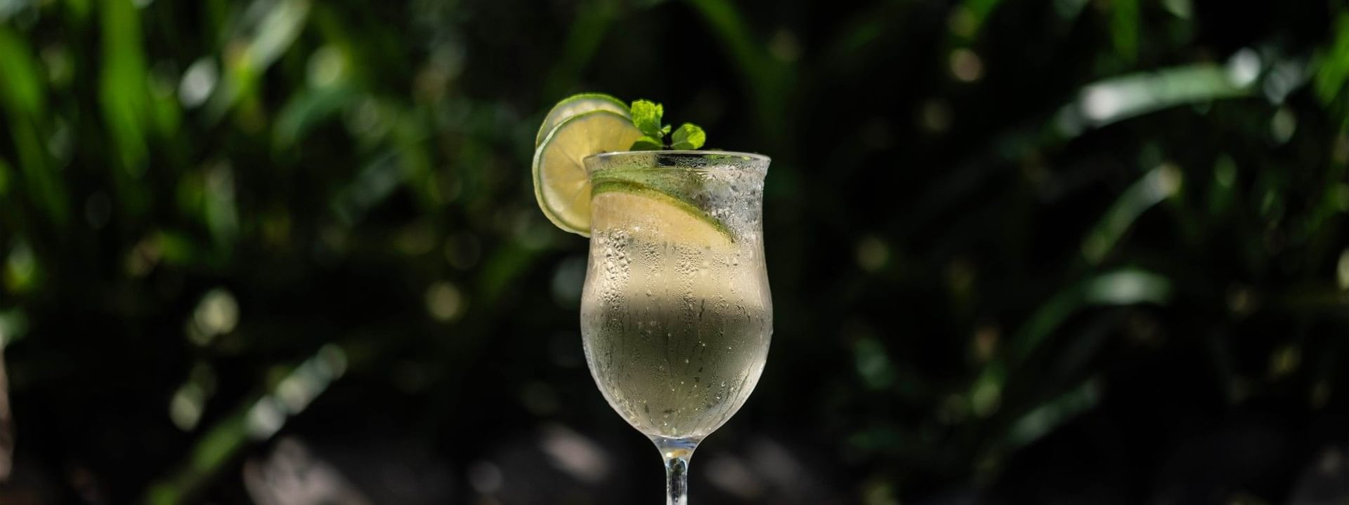 Chilled cocktail with lime and mint in a glass by lush green foliage in Poolside Bar at TokaToka Resort Nadi Fiji