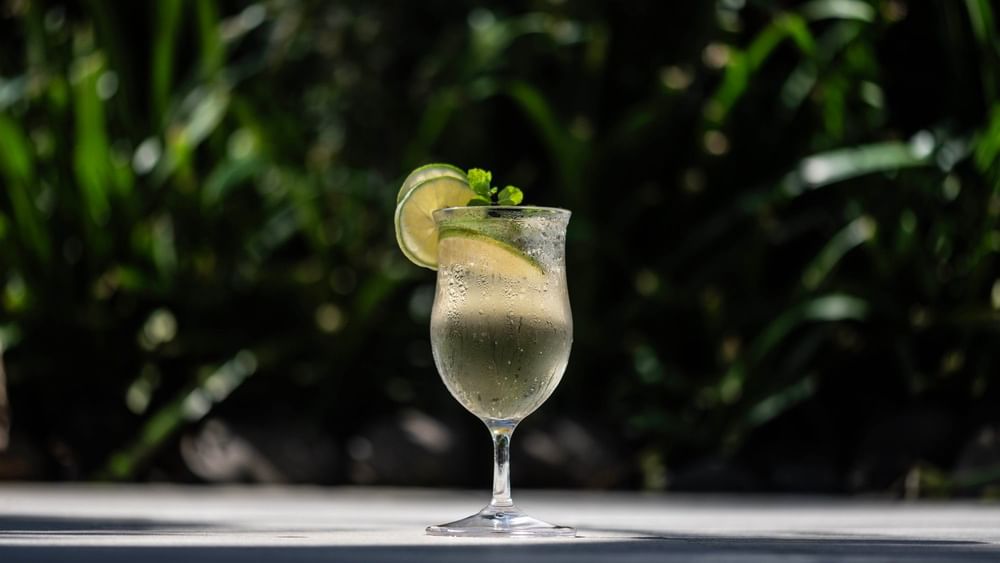 Chilled cocktail with lime and mint in a glass by lush green foliage in Poolside Bar at TokaToka Resort Nadi Fiji