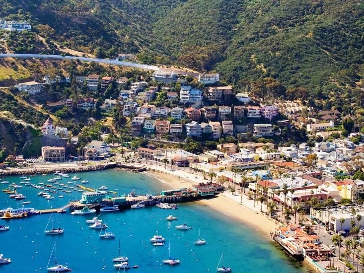 Best Time to Visit Santa Catalina Island: Insider Tips & Seasons