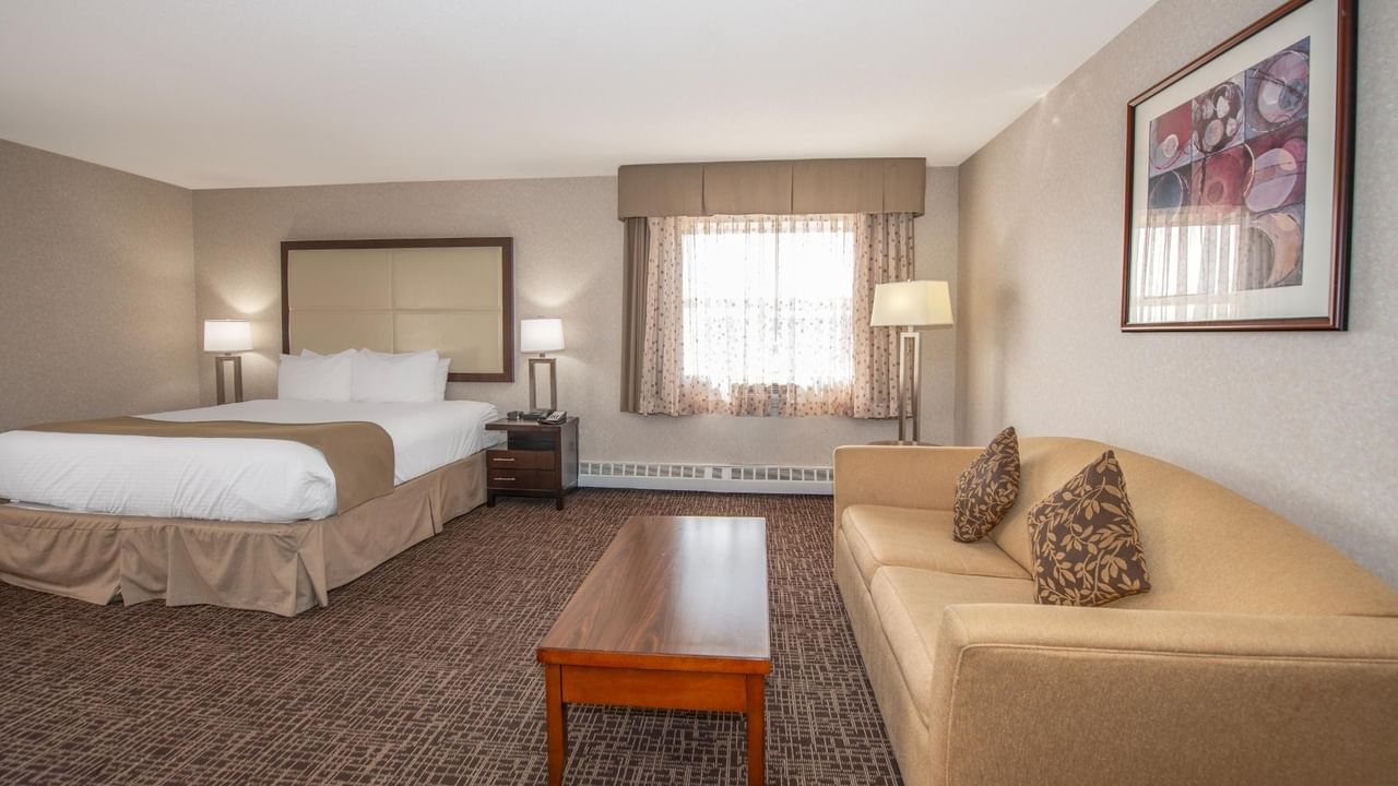 Hotel room with a bed, couch, window, and framed art on the wall.