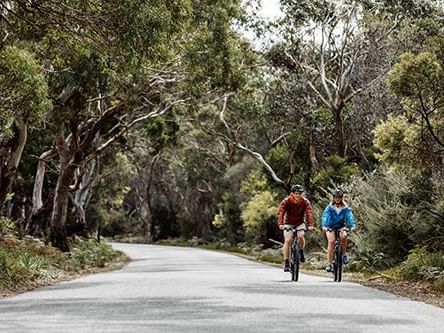 Couple riding bikes along the road at Freycinet Lodge
