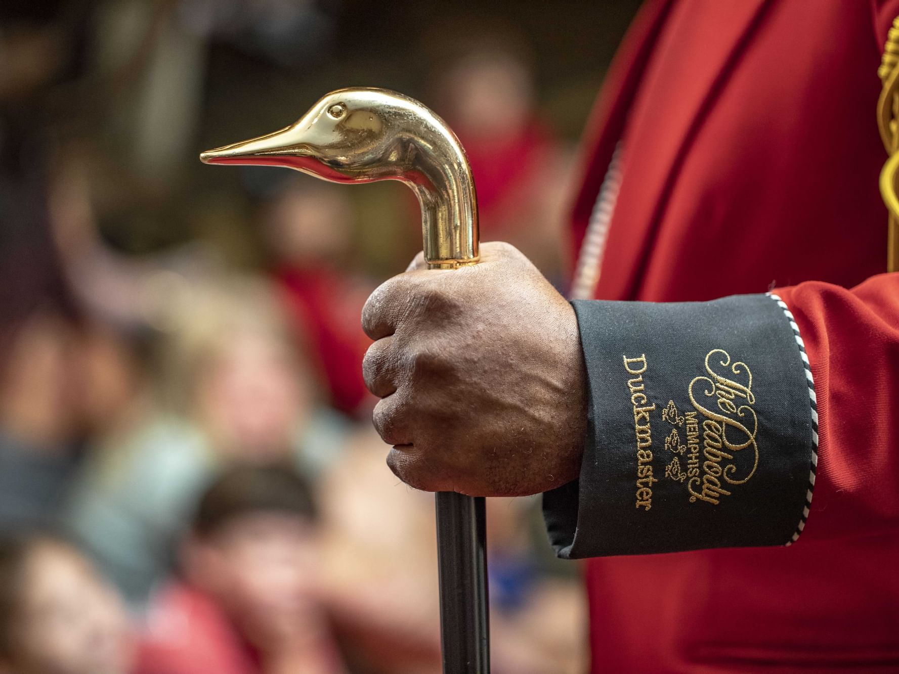 March of the Ducks | Special Offer | The Peabody Memphis