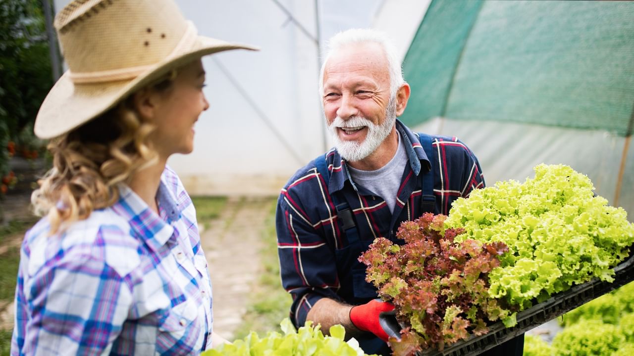 Smiling couple holding fresh lettuce in a garden with greenhouse tents in the background during fall harvest season.