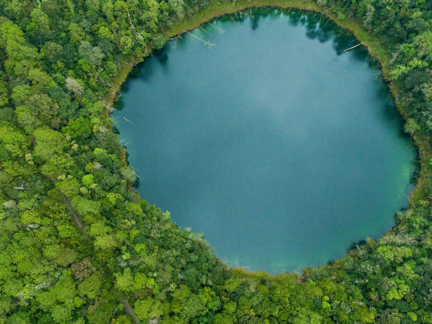 Vista aérea del lago rodeado de bosque cerca de Hoteles Gamma