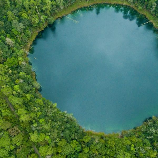 Aerial view of the lake near One Hotel