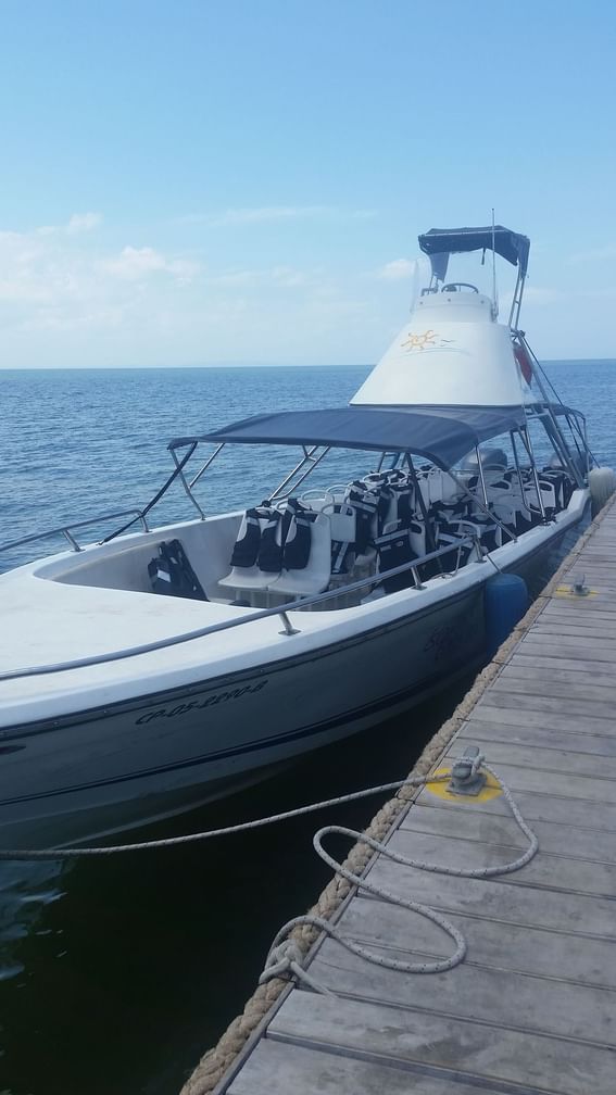 Tritones commercial boat on the sea near Hotel Isla Del Encanto