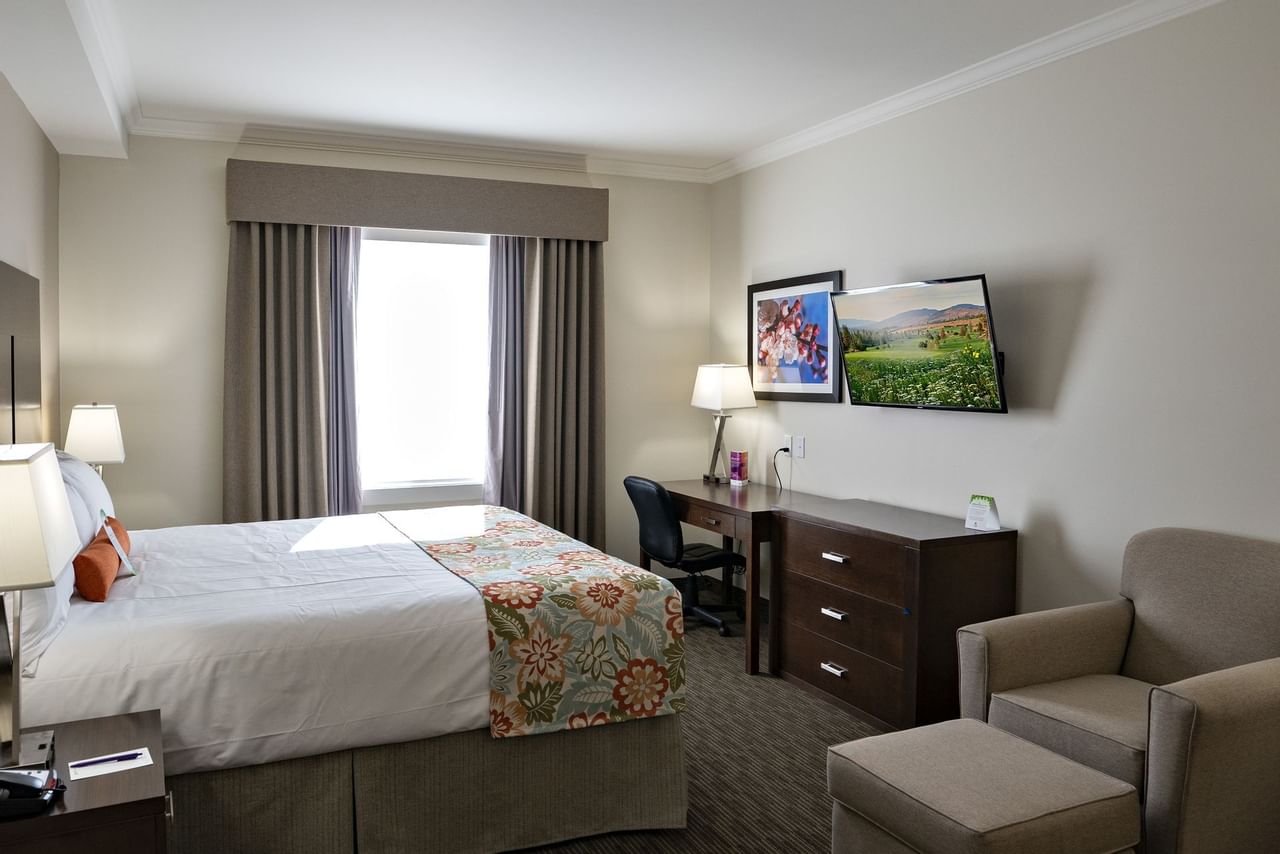 Coast Oliver Hotel - Premium King with Jacuzzi(6)