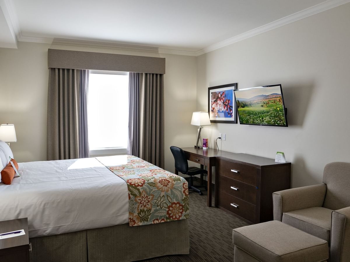 Bed, TV and sofa chair in hotel room