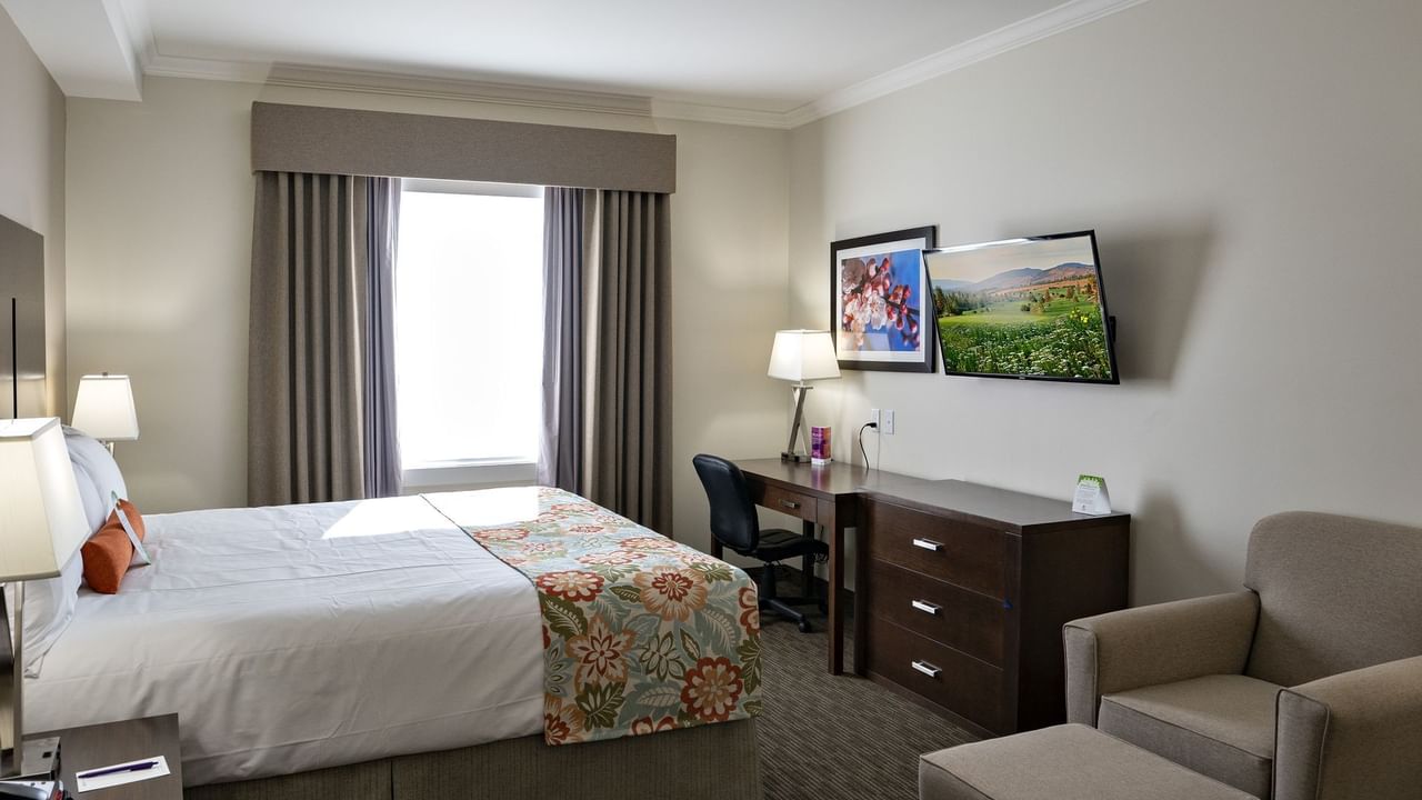 Bed, TV and sofa chair in hotel room