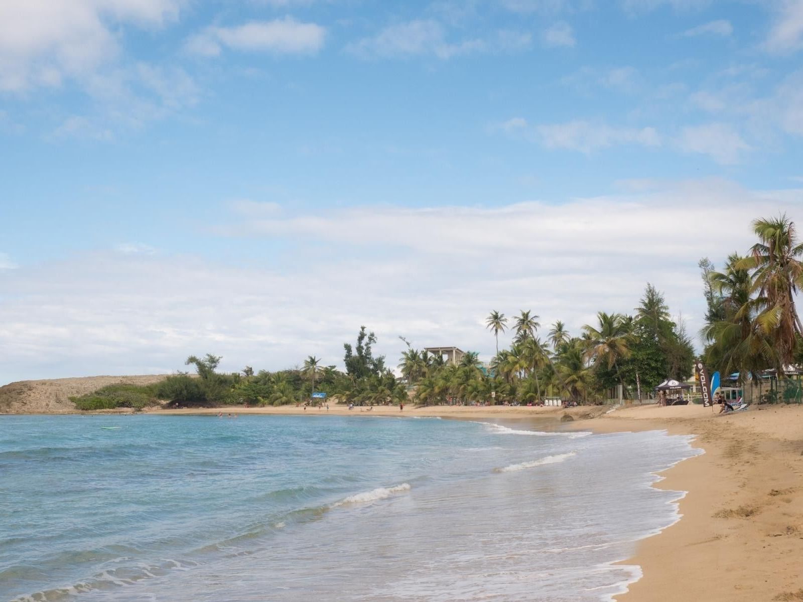 Tropical beach scene with light brown sand, gentle turquoise waves, and lush palm trees beneath a blue sky near Royal Isabela
