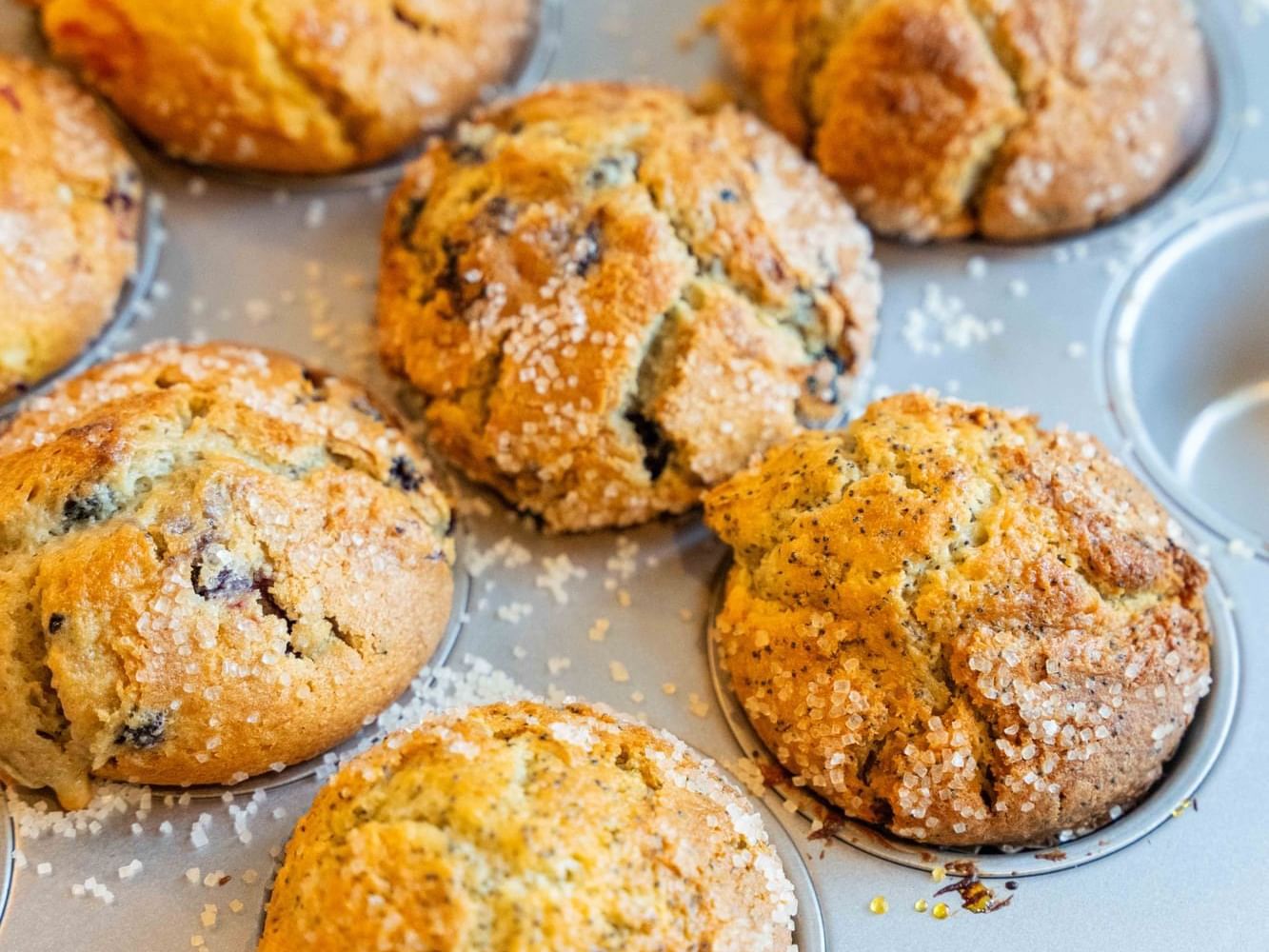 Fresh Baked Goods in the Caffe at The Artisan Hotel at Tuscan Village