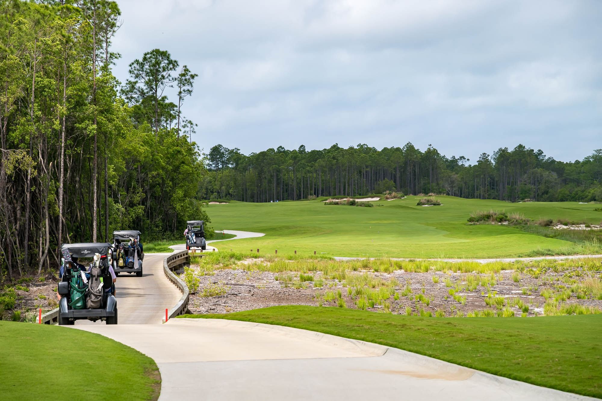 Three golf carts travel along a winding path beside a lush green golf course with tall trees in the background.