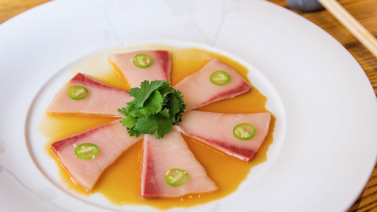 Close-up of sashimi dish in Nobu at Crown Towers Sydney