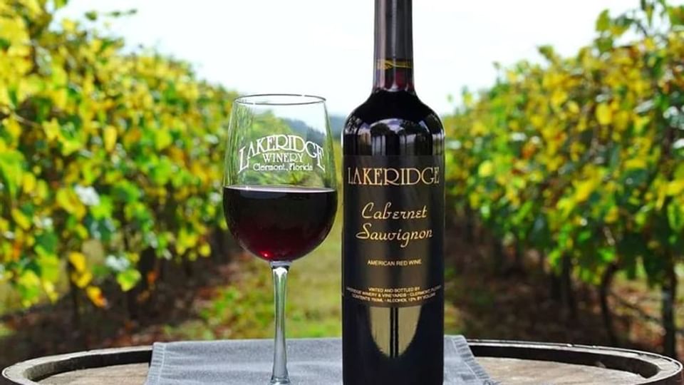 Glass of wine at Lakeridge Winery near Legacy Vacation Resorts