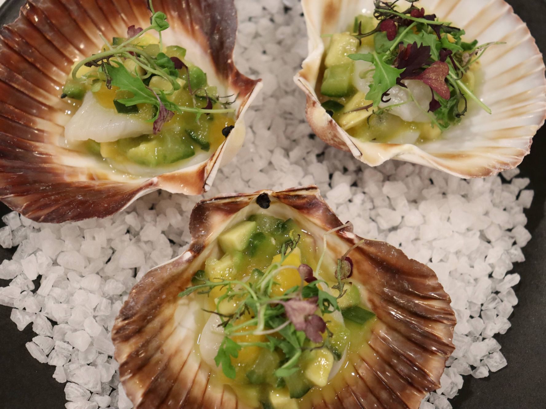 Three scallops on a black plate, showcasing their delicate texture and appetizing presentation at Hotel Grand Chancellor Adelaide