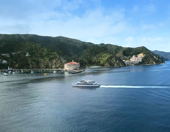 View of a harbor and town featuring the Catalina Island Casino near Catalina Island Company