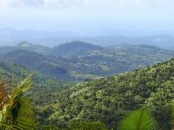 El Yunque Rainforest near Hotel El Convento