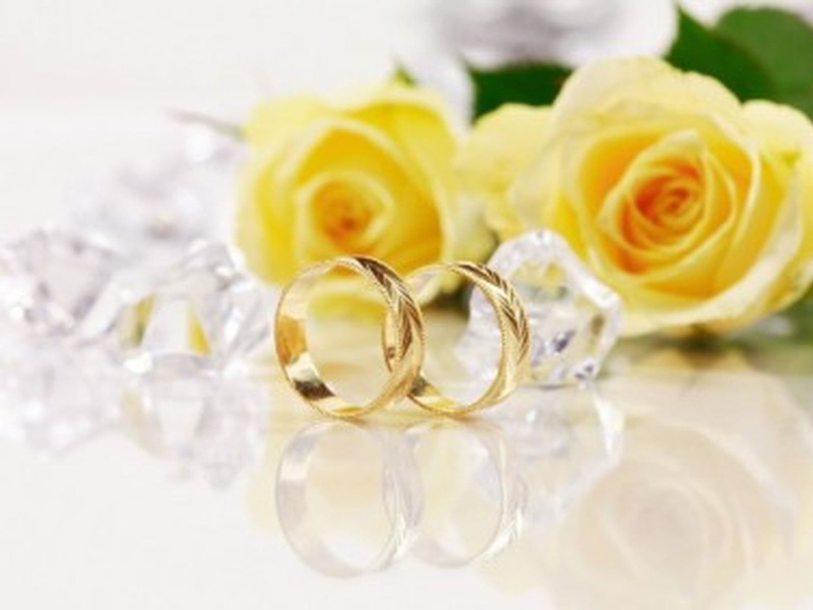 two golden rings and roses