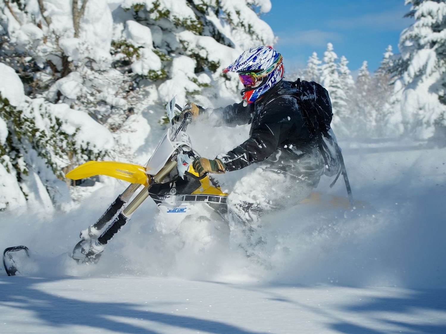 Adventure bike riding in Snow biking near Chatrium Niseko Japan