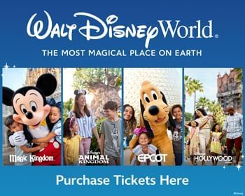 Purchase Walt Disney World Theme Park Tickets Here