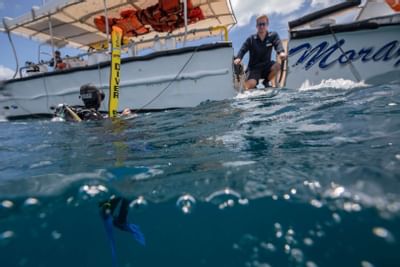 Diver in the water close to a boat near Heron Island Resort