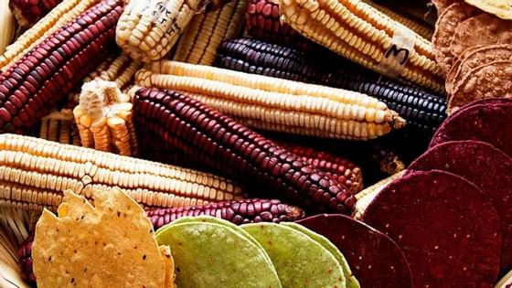 Close-up of dried corn & authentic crisps at Porta Hotel del Lago