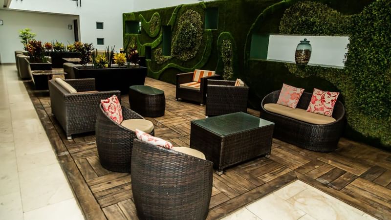 Sofas, coffee tables, wooden floor & indoor plant decor at Gamma Puebla Senorial Centro