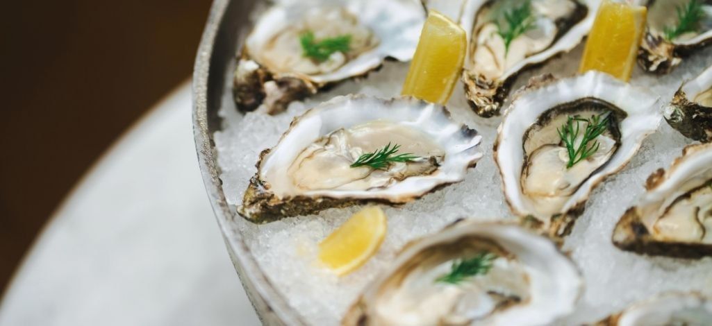 Fresh oysters on ice with lemon