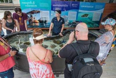 A tour around Research Station at Heron Island Resort