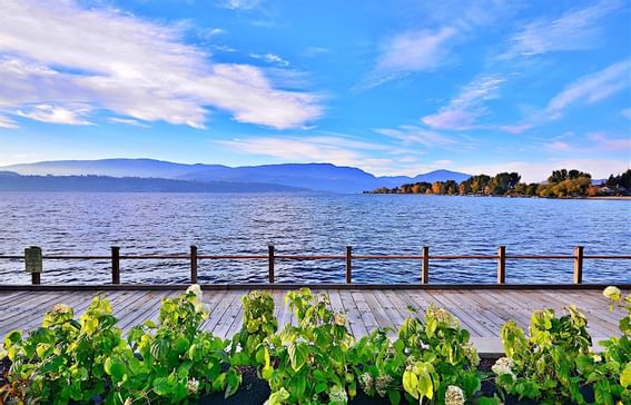 View of the lake from the boardwalk near Manteo Resort