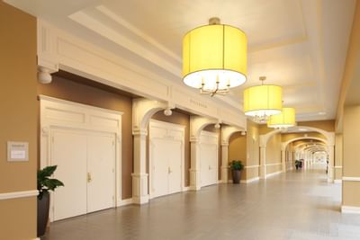 hallway with entrances to conference rooms